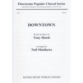 Hatch: Downtown SSA published by Eboracum