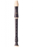 Accessories - Recorder