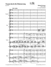 Strauss: Traum durch die Dmmerung SATB published by Universal