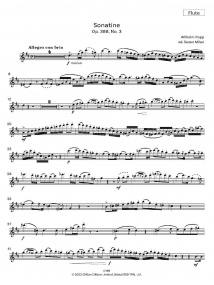 Popp: Sonatine Opus 388 No. 3 for Flute published by Clifton