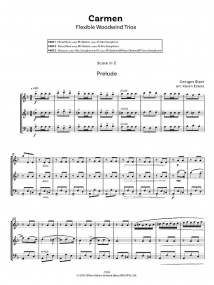 Bizet: Carmen (Suite) for Flexible Woodwind Ensemble published by Clifton