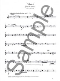 Solo Debut: Playalong Showtunes - Easy Recorder Solos published by Wise