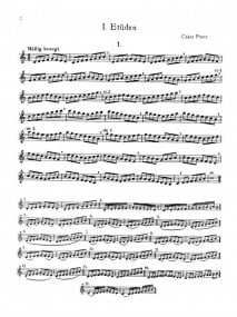 Franz: Etudes and Concert Etudes for Horn published by Kalmus