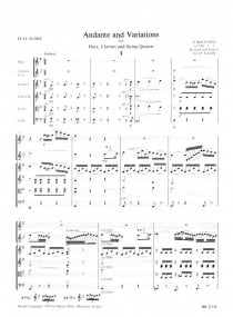 Bottesini: Andante und Variationen for Flute, Clarinet & Strings published by Breitkopf