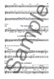 Wye: Beginners Book for the Flute Part 2 published by Novello
