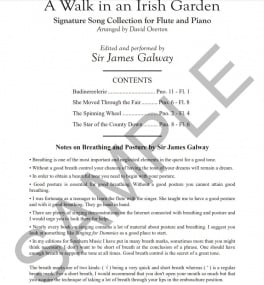 James Galway: A Walk in an Irish Garden for Flute published by Southern Music