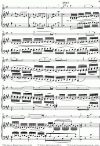 Mozart: Concerto No 5 in A K219 for Violin published by Henle